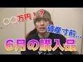 【紹介】今月買ったものを紹介します！高すぎて破産寸前...【お絵かき】