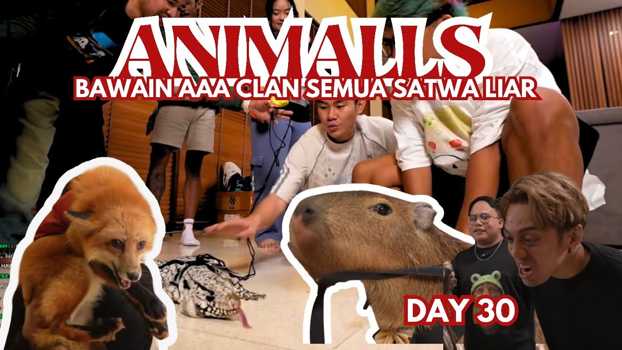 ANIMALS - LIVE STREAM MARAPTHON THE LAST LATE 