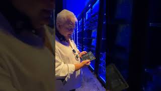 BITHARVEST 💥 BITBOOSTER 💥 Live Demonstration Mehr Bitcoin 💥 TOP TEAM ROB BUSER