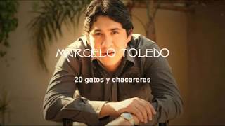 Marcelo Toledo - 20 gatos y chacareras