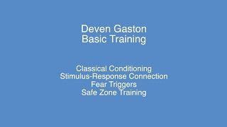 Deven Gaston  Basic Training : Fear & Safe Zone Training