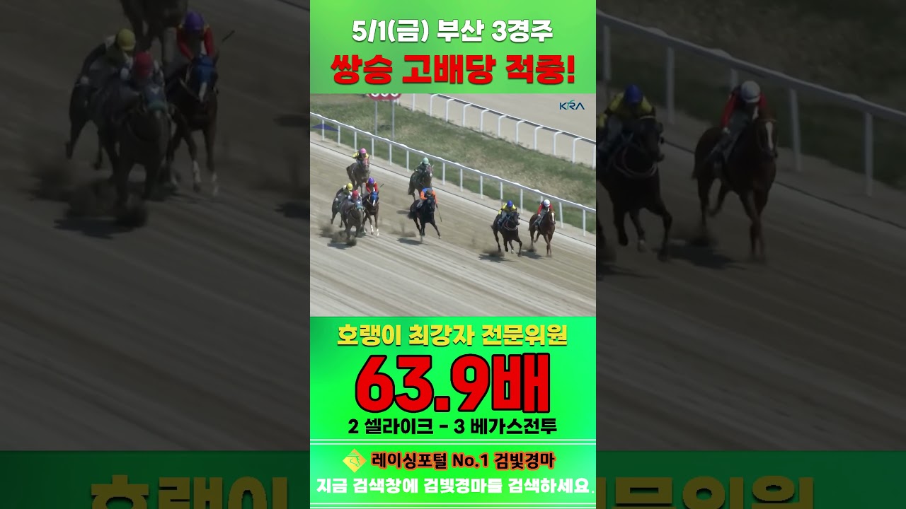 [부산 경마] 5월 1일 금요 3경주 호랭이 최강자 전문위원 쌍승 고배당 적중 #경마 #horse #하이라이트 #automobile #한국마사회 #비트코인 #뉴스 #게임 #주식