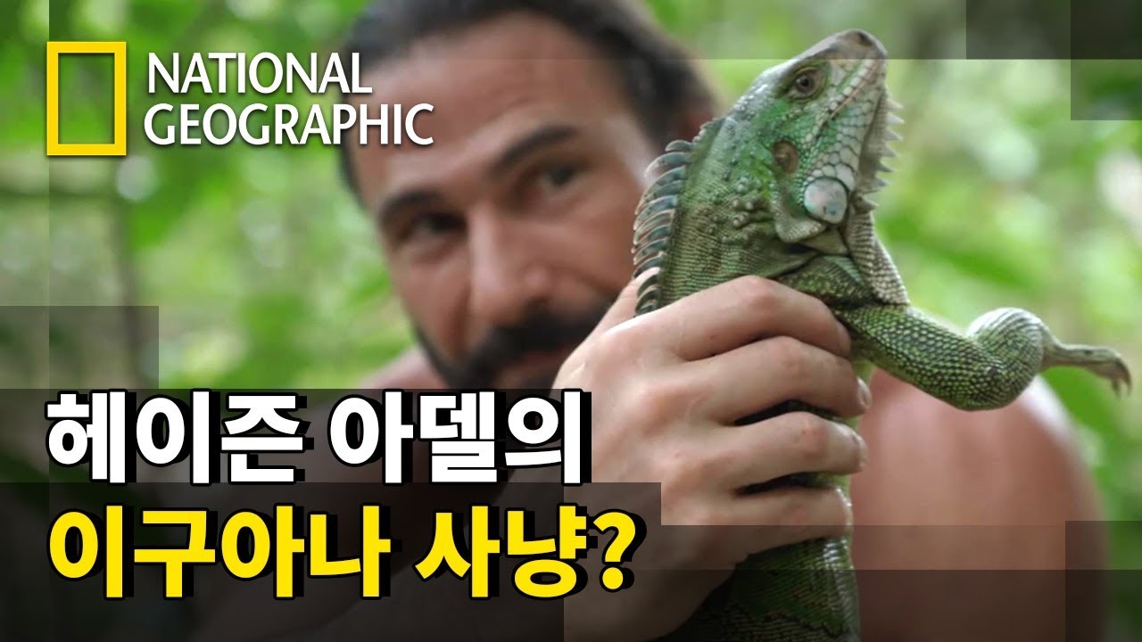 야생 생존 달인, 헤이즌 아델의 최애 동물