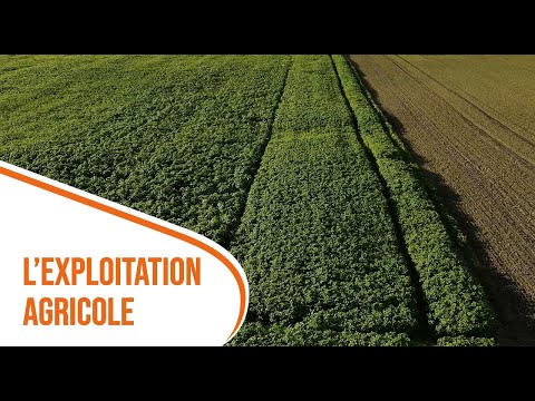 Présentation de l'exploitation agricole au LYCEE AGRICOLE TOULOUSE AUZEVILLE