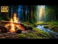 Relaxing Campfire by the River 🔥 Forest Nature Sounds ASMR 4K