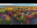 WATCH: Drone footage captures beauty of local fall colors