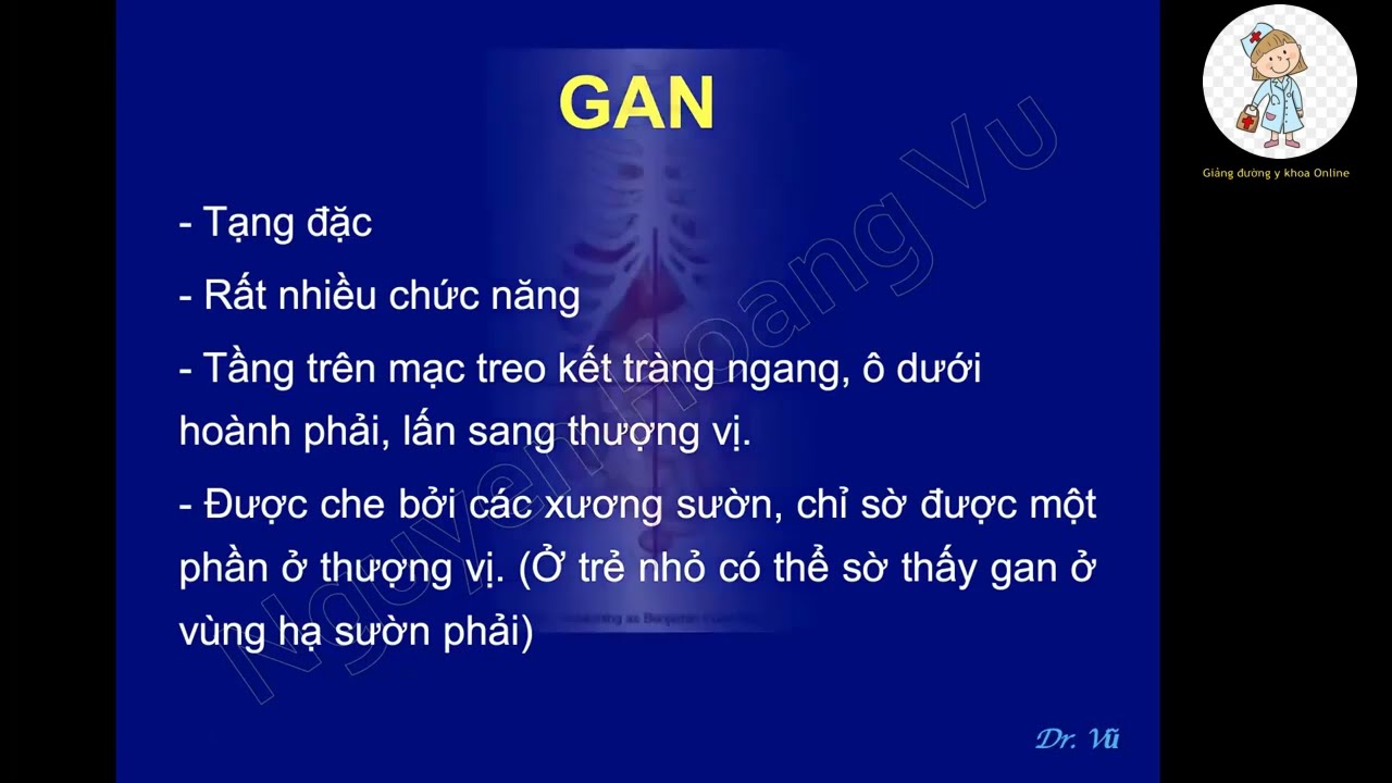 GAN - MẬT - TỤY - PHÚC MẠC | TS. BS. NGUYỄN HOÀNG VŨ | Ôn thi SĐH 2023