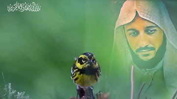 اجمل اذان حصریا بصوت القارئ مصطفی فاروق الكرديThe most beautiful Azan exclusively in the voice