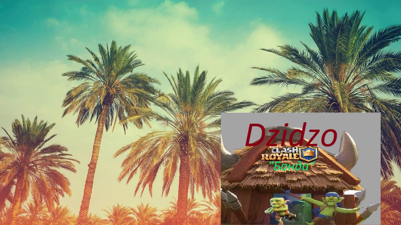 Clash Royale DZIDZIO "Банда Банда"