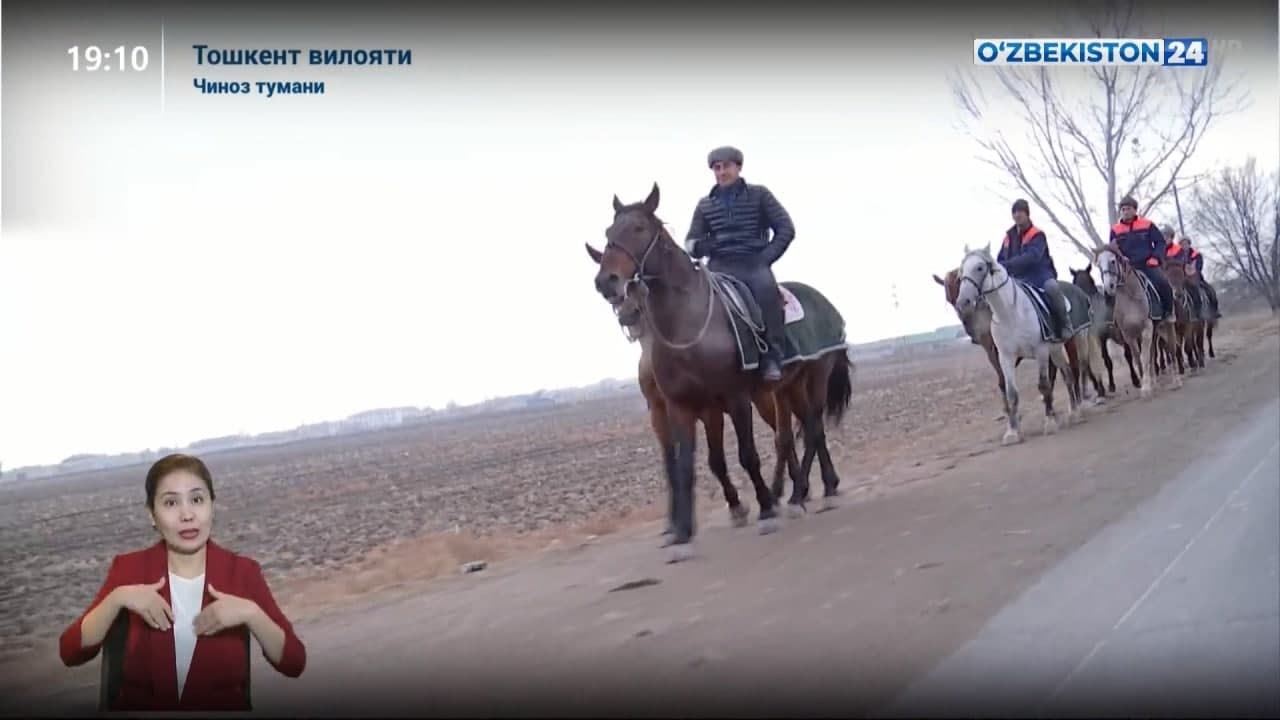 Қашқадарёдан Тошкентга йўлга чиққан Қорабайир зотдор отлар карвони Тошкент вилоятига етиб келди