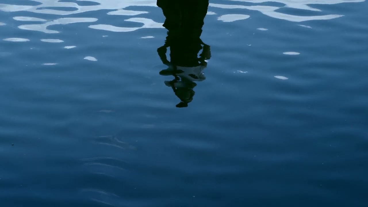 Watch Noé Solange - Let Go (Official Visualiser) on YouTube Watch Noé Solange - Let Go (Official Visualiser) on YouTube