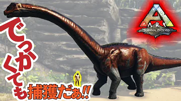 تحميل ブロントサウルス テイム تحميل ブロントサウルス テイム