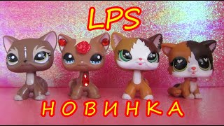 Lps Мои Новые Петы 2019/ The Old Lps Are Back For More! Brand New Short Hair Cats!