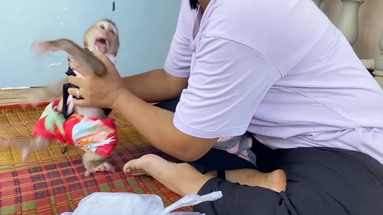 Moody DAM Sharply Reject Mommy Drop Him Out