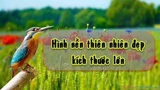 Hoang Trang hinh anh dep nhat asdldasijladsioasdjilfsjhbadfsilsfdi3958