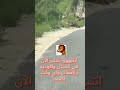 النمر العربي ف جبال عسير يعود من جديد 