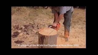 10865 - Chainsaw sculptures