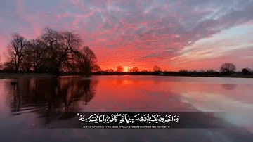  إن ربك يعلم أنك تقوم أدنى من ثلثي الليل ونصفه وثلثه..🌿سورة المزمل🌿عبد الرحمان مسعد🌿راحة نفسية🌿😍🎧❄❤