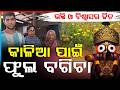 କାଳିଆ ପାଇଁ ଫୁଲ ବଗିଚା | Devotion Beyond Poverty: 80-Year-Old Woman Serves Lord Jagannath | Argus News
