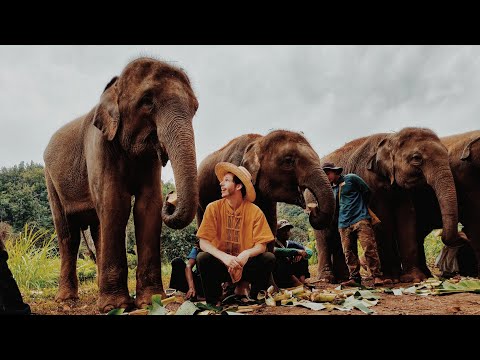 Video: Najlepšie Miesta Na Návštevu Thajska: Bangkok, Chiang Mai, Phuket