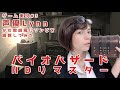 【Lynn】声優が女教師風にゾンビを調教してみた《バイオハザードHDリマスター》ゲーム実況＃3