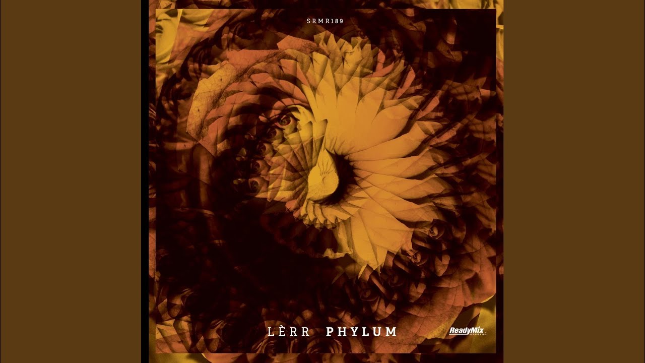 Watch Phylum (Gulivert Remix) on YouTube Watch Phylum (Gulivert Remix) on YouTube