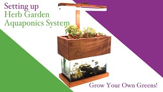 Aquaponics: Setting Up The Herb Garden Aquaponics System