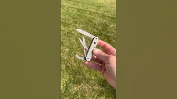 I love this custom SAK from Beaver Bladeworks!