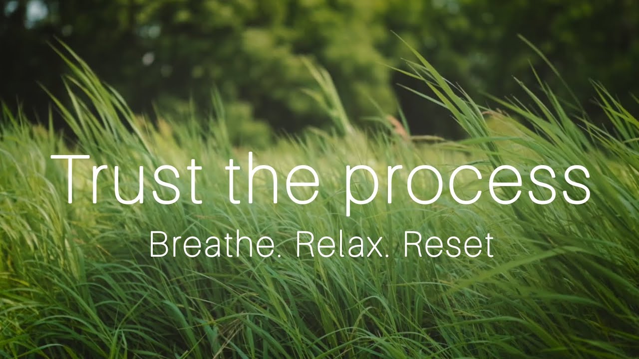 Guided Meditation for Peace & Hope | Relaxing Music & Nature Visuals 🌊🍂