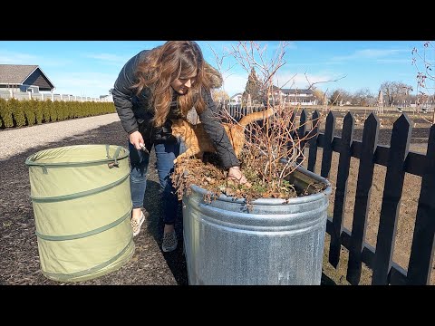 Pruning Blueberries & Starting Herb Seeds! 🫐🌿🪴 // Garden Answer