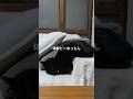 その体制で寝れるの、、、？ #保護猫 #はち猫 #おすすめ #猫のいる暮らし #黒猫好き #ねこあるある