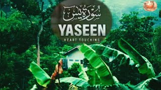 Surah Yasin(سوره یاسین) Full is the heart of the(Quran)With English translation شیخ ابراهیم