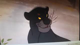 Bagheera Crossover Wanda Reyes