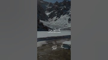 قرآن كريم بصوت القارئ عمر بن عبد العزيز