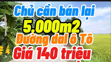 Chủ bán 5.000m2 đất ruộng mặt tiền đường dal ô tô giá 140 triệu/1000m2 Tỉnh An Giang 