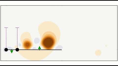 Pressure lift evolution of Two Flapping Bird Feathers at a Strouhal Number of 0.08.