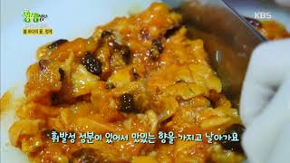 2TV 생생정보 - 바다의 봄을 알리는 통영 ´멍게´.20180301