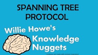Knowledge Nugget: Spanning Tree Protocol