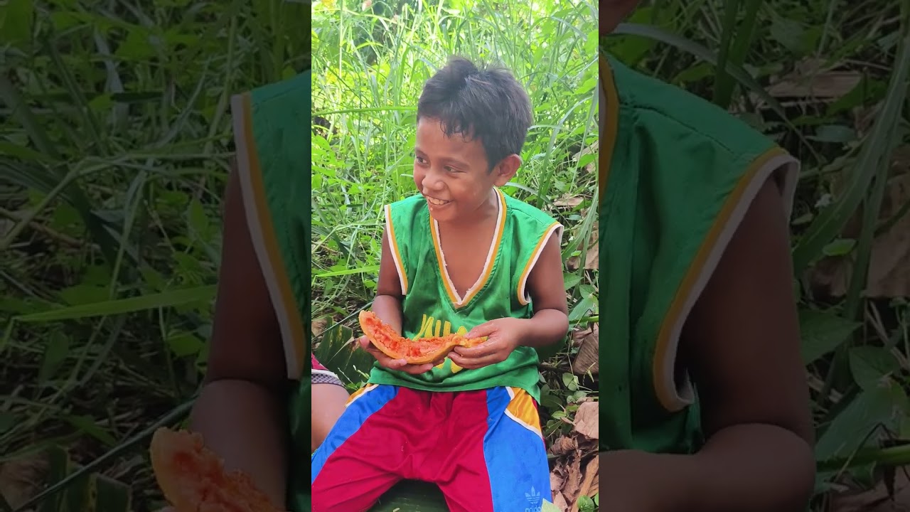 Papaya 