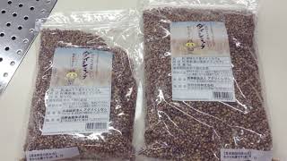 もち麦通販　香川県産・国産　ダイシモチ　食べ方　味