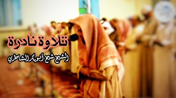 تلاوة مليئة بالخشوع والهدوء♥ | للشيخ شيخ أبو بكر الشاطري | ما تيسر من سورة القصص | تلاوة نادرة جدا 