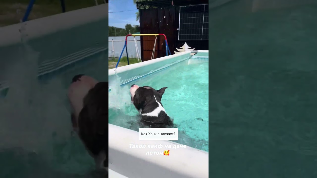 Как человек🙈 