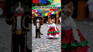 👉🏻😻 Gatitos Bailando Son De La Negra Con Trajes Mexicanos 🇲🇽✨ Resimi
