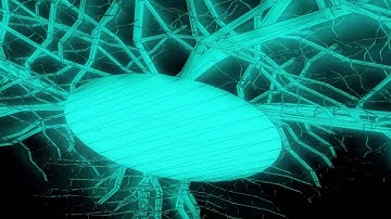 Experimental Animation using Max/MSP Jitter