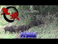 【狩猟】 鬼嫁と哀れな旦那の釣りと狩猟 狩猟編 【チャンネル紹介動画】 【自己満足動画】