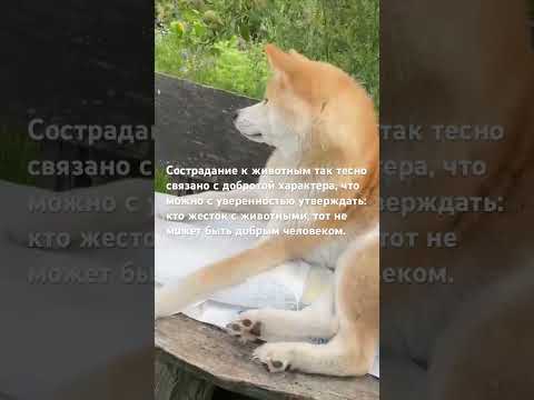 тот не может быть добрым человеком если….