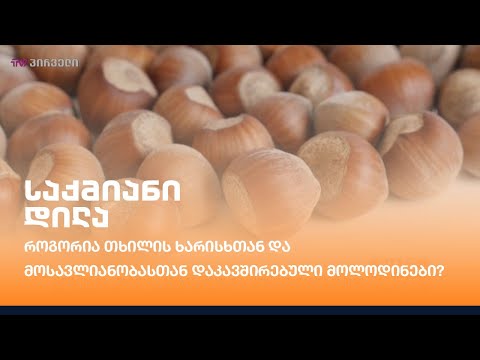 როგორია თხილის ხარისხთან და მოსავლიანობასთან დაკავშირებული მოლოდინები?