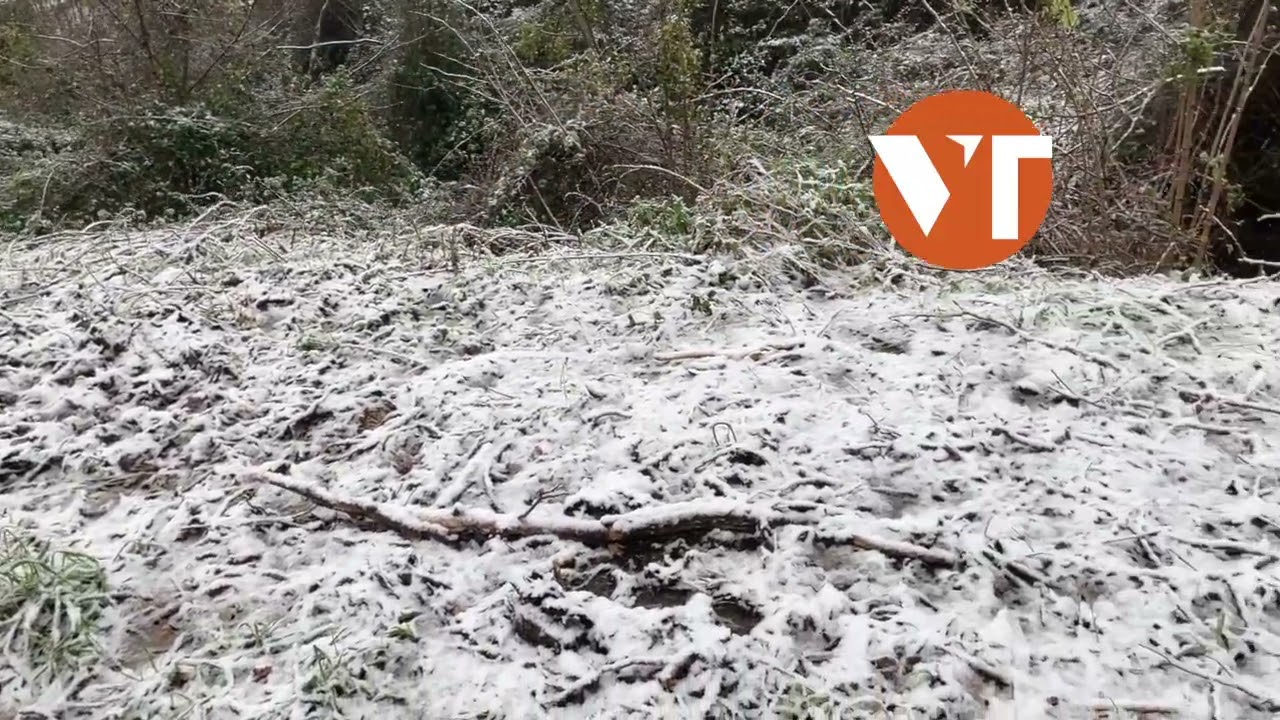 Nevicata sul Monte Serra, Vicopisano 6 gennaio 2025