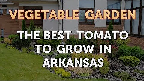 Are Arkansas Traveler tomatoes good?
