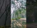 ❤️#mornigvibes #kerala #ytshortsvideo #reels #comedy